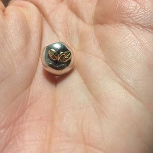 Retired Apple Charm
